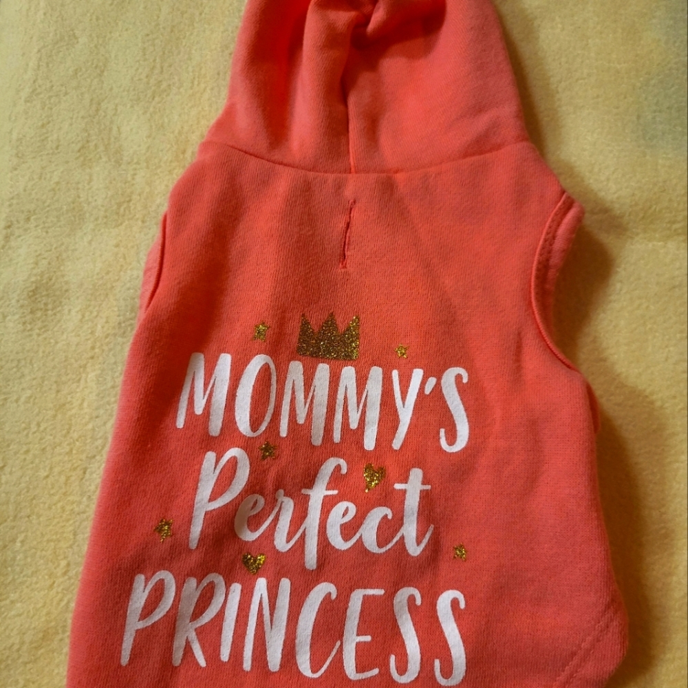Vibrant Pink XS Pet Hoodie, By Vibrant Life